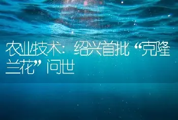 农业技术:绍兴首批“克隆兰花”问世