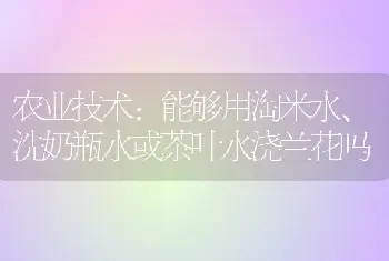 农业技术:能够用淘米水、洗奶瓶水或茶叶水浇兰花吗