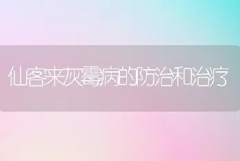 仙客来灰霉病的防治和治疗