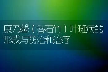 康乃馨（香石竹）叶斑病的形成与防治和治疗