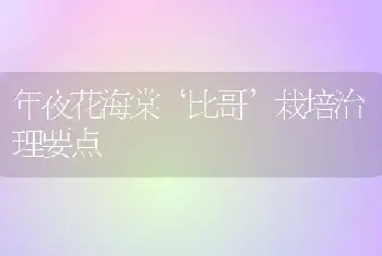 年夜花海棠‘比哥’栽培治理要点