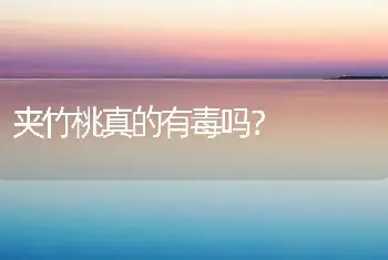 夹竹桃真的有毒吗？