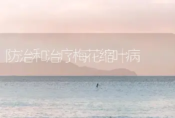 防治和治疗梅花缩叶病