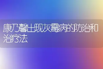 康乃馨出现灰霉病的防治和治疗法