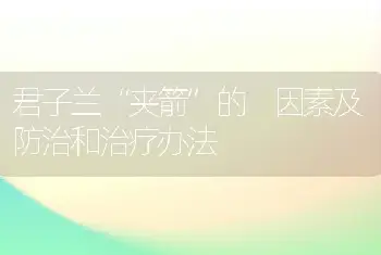 君子兰“夹箭”的 因素及防治和治疗办法