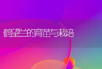 鹤望兰的育苗与栽培