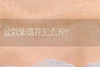 盆栽紫薇花怎么养？