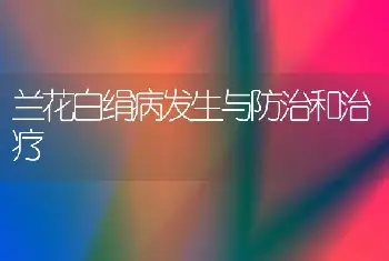 兰花白绢病发生与防治和治疗