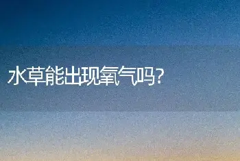 水草能出现氧气吗？