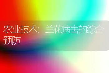 农业技术:兰花病害的综合预防