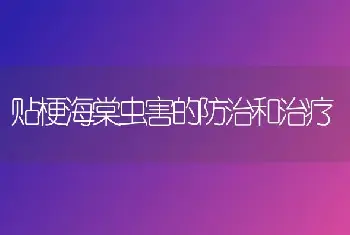 贴梗海棠虫害的防治和治疗