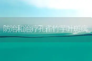 防治和治疗孔雀竹芋叶斑病