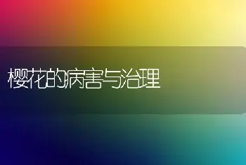 樱花的病害与治理