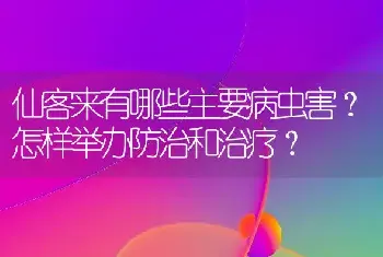 仙客来有哪些主要病虫害？怎样举办防治和治疗？