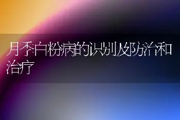 月季白粉病的识别及防治和治疗