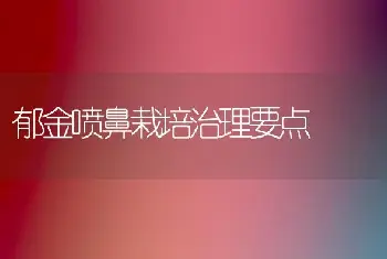 郁金喷鼻栽培治理要点