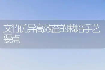 文竹优异高效益的栽培手艺要点