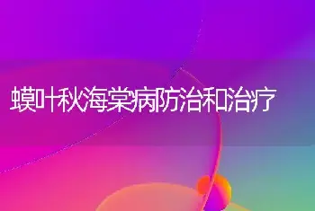 蟆叶秋海棠病防治和治疗