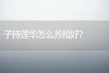 子持莲华怎么养殖好？