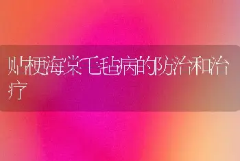 贴梗海棠毛毡病的防治和治疗