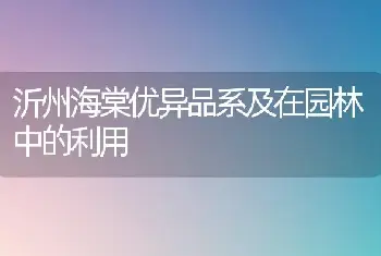 沂州海棠优异品系及在园林中的利用