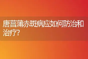 唐菖蒲赤斑病应如何防治和治疗？