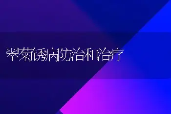 翠菊锈病防治和治疗