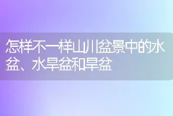 怎样不一样山川盆景中的水盆、水旱盆和旱盆