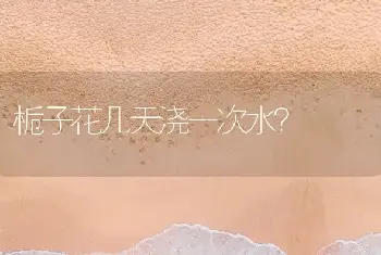 栀子花几天浇一次水？