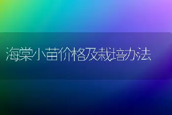 海棠小苗价格及栽培办法