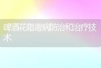 啤酒花霜霉病防治和治疗技术