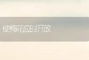 使梅花应时开放