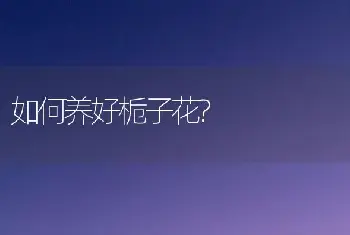 如何养好栀子花?