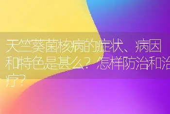 天竺葵菌核病的症状、病因和特色是甚么？怎样防治和治疗？