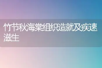 竹节秋海棠组织造就及疾速滋生