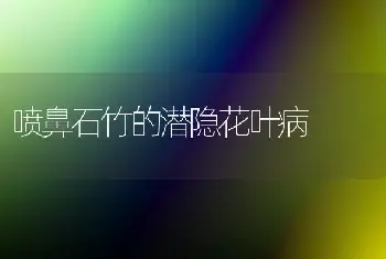 喷鼻石竹的潜隐花叶病