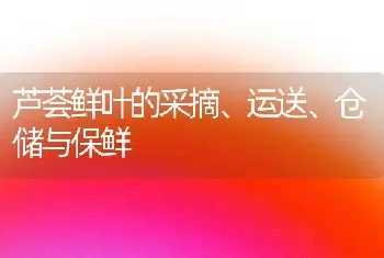 芦荟鲜叶的采摘、运送、仓储与保鲜