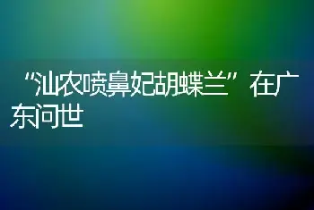 “汕农喷鼻妃胡蝶兰”在广东问世