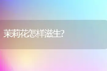 茉莉花怎样滋生?