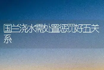 国兰浇水需处置惩罚好五关系