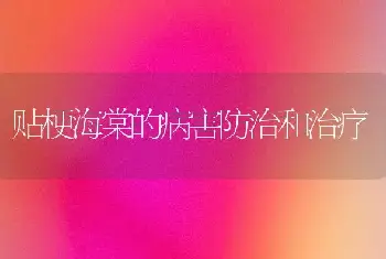 贴梗海棠的病害防治和治疗