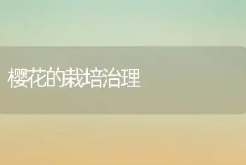 樱花的栽培治理