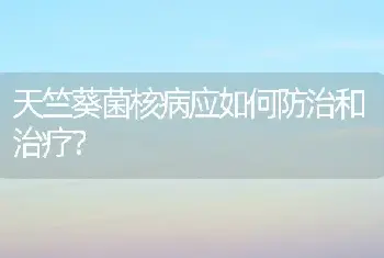 天竺葵菌核病应如何防治和治疗？