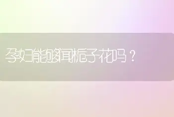 孕妇能够闻栀子花吗？