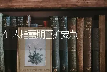 仙人指蕾期管护要点