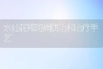 水仙花褐斑病防治和治疗手艺