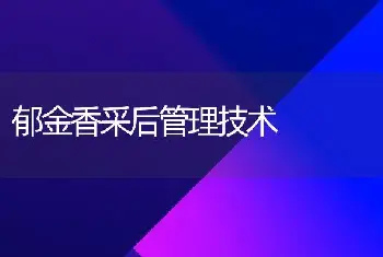 郁金香采后管理技术