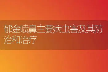 郁金喷鼻主要病虫害及其防治和治疗