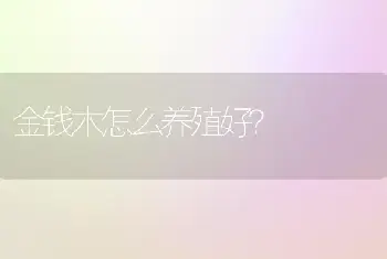 金钱木怎么养殖好？