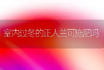 室内过冬的正人兰可施肥吗